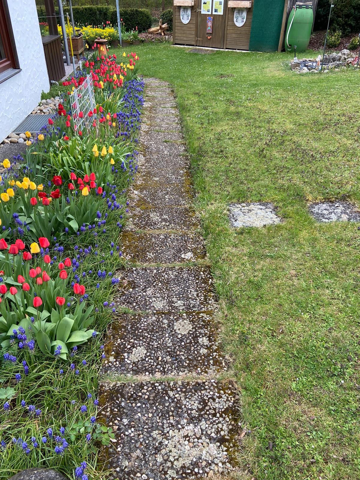 Gartenweg Reinigung - Vorher